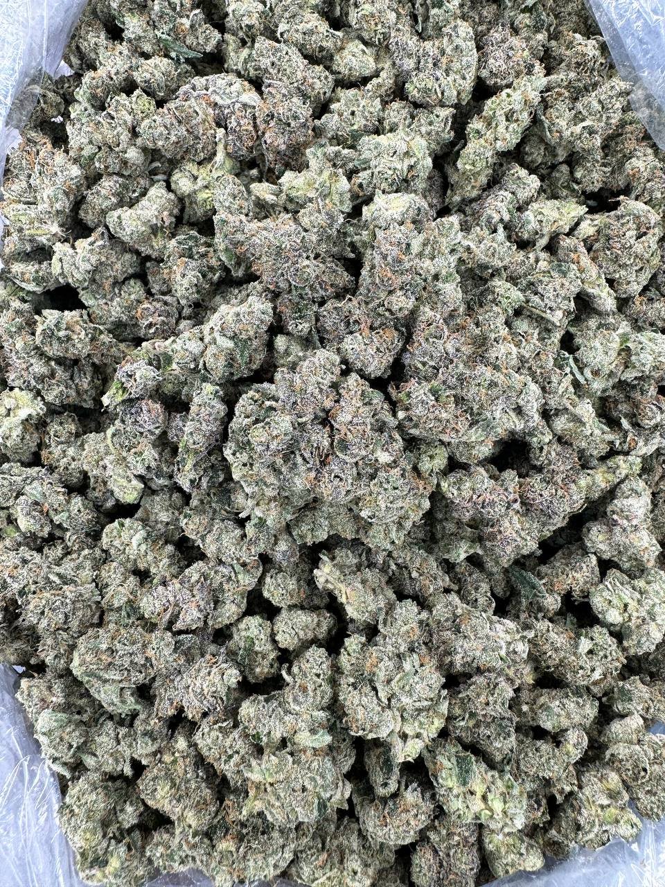 photo_2025-02-27_03-34-10 lemon cherry gelato price pound