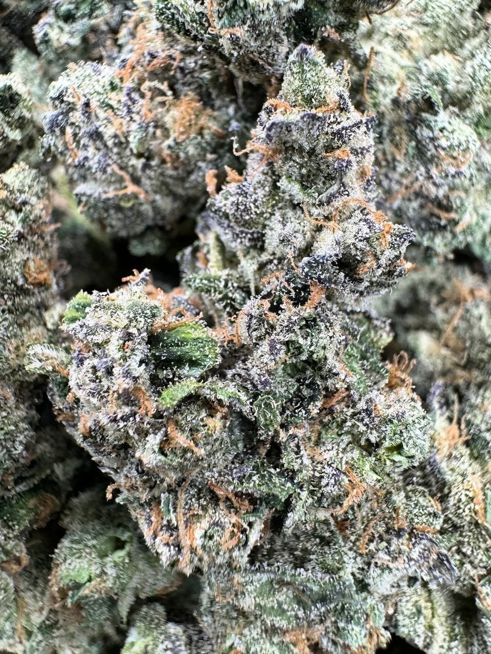 photo_2025-02-27_03-34-16