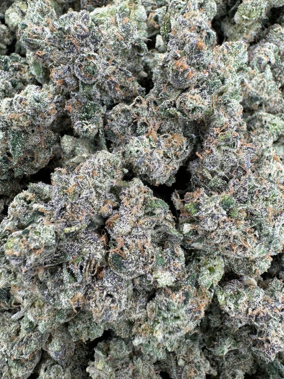 photo_2025-02-27_03-34-22