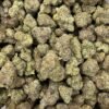 Bolo Runtz strain
