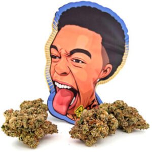 duttpack