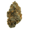 Gelonade strain