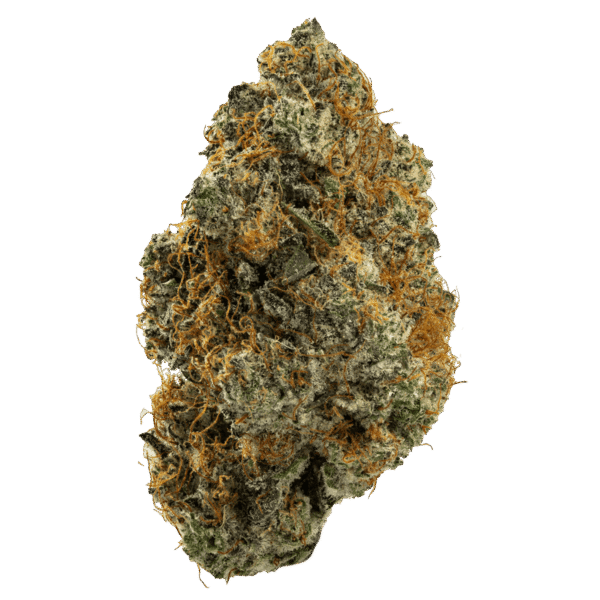 Gelonade strain